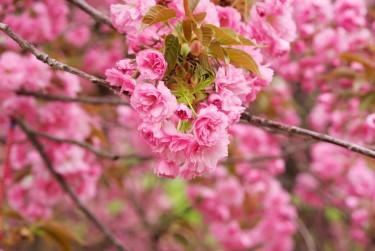 南通如东9线下个人借款平台一站式服务，轻松解决资金难题
