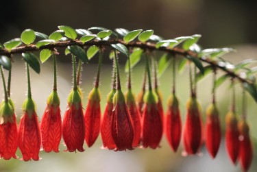 南通如东9零用贷短借：轻松解决临时资金需求