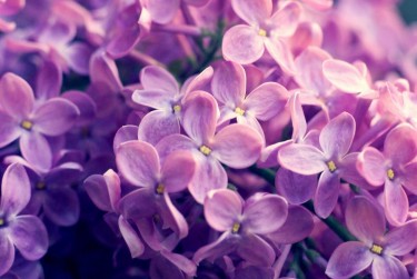 南通如东9企业急用钱贷款攻略：快速融资解燃眉之急